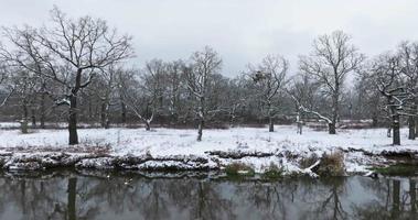 volando sobre el río en un día de invierno con vistas al robledal video