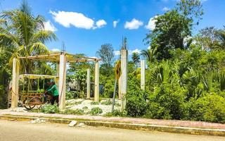 Tropical jungle forest with road through the village Kantunilkin Mexico. photo