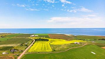 vista del océano atlántico visto desde la granja de canola en la isla del príncipe eduardo foto