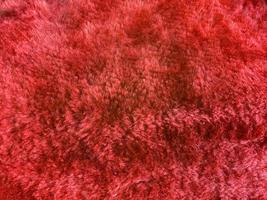 Red wool fabric texture used as background. Empty red fabric background of soft and smooth textile material. There is space for text. photo