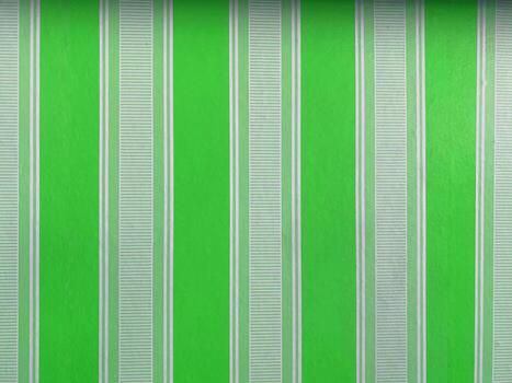 Abstract background green color on isolated. Abstract white and green pattern textured. White line background concept. There is space for text. photo