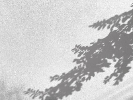 Seamless texture of white cement wall a rough surface and leaf shadow, with space for text, for a background.. photo