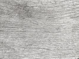 Old wood texture crack, gray-white tone. Use this for wallpaper or background image. There is a blank space for text. photo