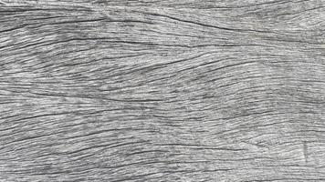 grieta de textura de madera vieja, tono gris-blanco. use esto para fondo de pantalla o imagen de fondo. hay un espacio en blanco para el texto. foto