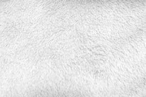 White clean wool  texture background. light natural sheep wool. white seamless cotton. texture of fluffy fur for designers. close-up fragment white wool carpet. photo