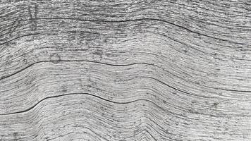 grieta de textura de madera vieja, tono gris-blanco. use esto para fondo de pantalla o imagen de fondo. hay un espacio en blanco para el texto. foto