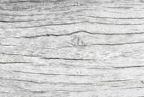 Old wood texture crack, gray-white tone. Use this for wallpaper or background image. There is a blank space for text. photo