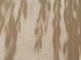 Abstract Shadow. blur texture background. gray leaves that reflect concrete walls on beige concrete wall. photo