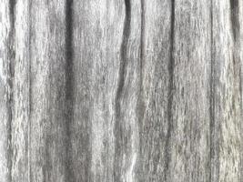 grieta de textura de madera vieja, tono gris-blanco. use esto para fondo de pantalla o imagen de fondo. hay un espacio en blanco para el texto. foto