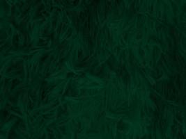Dark green old wool fabric texture used as background. Empty green fabric background of soft and smooth textile material. There is space for text... photo