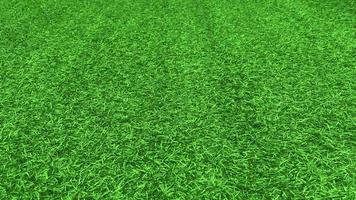 Green grass texture background grass garden  concept used for making green background football pitch, Grass Golf,  green lawn pattern textured background. photo