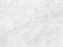 White clean wool  texture background. light natural sheep wool. white seamless cotton. texture of fluffy fur for designers. close-up fragment white wool carpet. photo