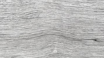 grieta de textura de madera vieja, tono gris-blanco. use esto para fondo de pantalla o imagen de fondo. hay un espacio en blanco para el texto. foto