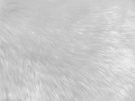 White clean wool  texture background. light natural sheep wool. white seamless cotton. texture of fluffy fur for designers. close-up fragment white wool carpet. photo