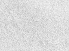 White clean wool texture background. light natural sheep wool. white seamless cotton. texture of fluffy fur for designers. close-up fragment white wool carpet.. photo