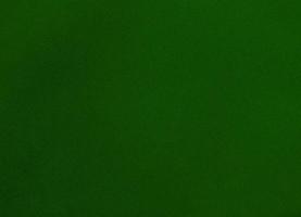 Green velvet fabric texture used as background. Empty green fabric background of soft and smooth textile material. There is space for text. photo
