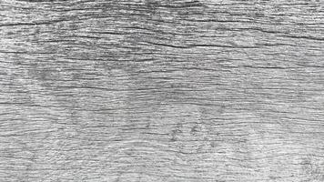 Old wood texture crack, gray-white tone. Use this for wallpaper or background image. There is a blank space for text. photo