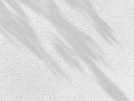 Abstract Shadow. blur background. gray leaves that reflect concrete walls on a white wall surface for blurred backgrounds photo