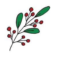 Hand drawn branch with berries and leaves. Christmas doodle. Winter clipart. Single design element vector