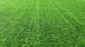 fondo de textura de hierba verde concepto de jardín de hierba utilizado para hacer campo de fútbol de fondo verde, golf de hierba, fondo de textura de patrón de césped verde. foto