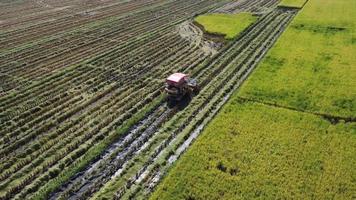 Luftaufnahme der Mähdreschermaschine mit Reisfeld. Mähdrescher zum Ernten von Reis bei der Arbeit in Thailand. Drohne fliegt nach der Erntezeit in einem großen Reisfeld über Reisstroharbeiter. video