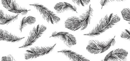 Feathers on white background. Hand drawn sketch style. vector