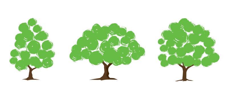 Trees for decorating gardens, vector illustration.