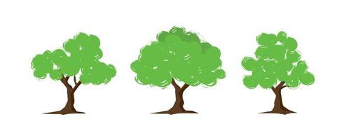 árboles para decorar jardines, ilustración vectorial. vector