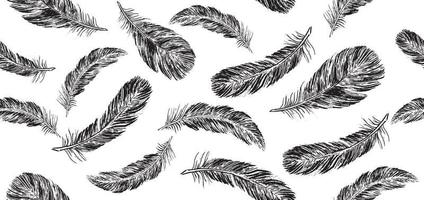 Feathers on white background. Hand drawn sketch style. Vector. vector