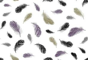 Feathers on white background. Hand drawn sketch style. Vector. vector