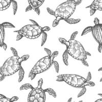 Turtle reptile sketches seamless pattern vector