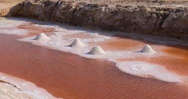 zout meer in Tunesië chott el djeridi rood kleur van water van de zout mineralen. grootste zout meer in de Sahara woestijn. toerist bestemming. reizen de wereld. video