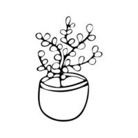 árbol de dinero, flor de crassula en maceta vector blanco y negro