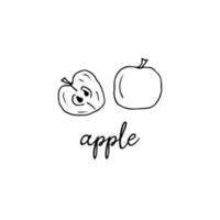 Half and a whole apple in the style of a doodle vector