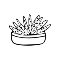 Scarlet flower in pot black and white vector