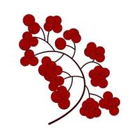 Autumn Sprig of red rowan simple vector illustration