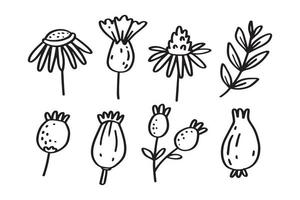 Set of Spring floral hand drawn line art illustration for ornament and design element vector