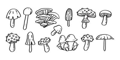conjunto de lindo hongo dibujado a mano ilustración de arte de línea para adorno y elemento de diseño vector