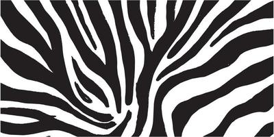 Zebra leather pattern for the background. Abstract black line pattern vector