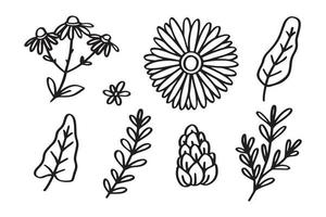 Set of Spring floral hand drawn line art illustration for ornament and design element vector