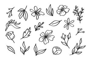 Set of rustic flower hand drawn line art illustration for ornament and design element vector