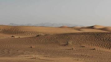 paisaje desértico del medio oriente, dunas de arena, viento, cielo, montañas distantes, medio oriente