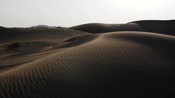 sand dyn, öken- landskap, mitten öster, vind, himmel, varm, torr, dubai video