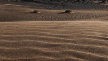 öken- landskap, sand, vind, mitten öster, sanddyner, mitten öster, video