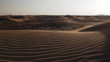 beau paysage désertique, dunes de sable, vent, lumière du soleil, arbustes du désert video