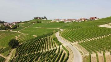 agricultura de viñedos en barbaresco asti vista aérea, producción de vino en langhe monferrato, piamonte video