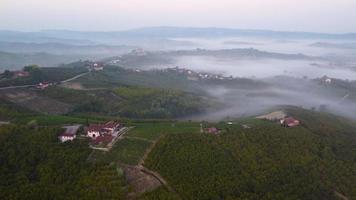 vingård antenn se i langhe, piedmont Italien video