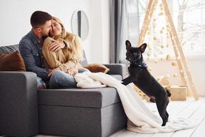 Happy young modern couple sitting on the sofa at home with christmas tree with their cute dog photo