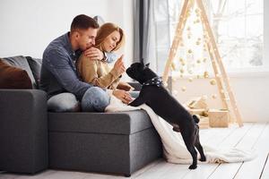 Happy young modern couple sitting on the sofa at home with christmas tree with their cute dog photo