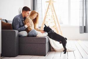 feliz joven pareja moderna sentada en el sofá en casa con árbol de navidad con su lindo perro foto